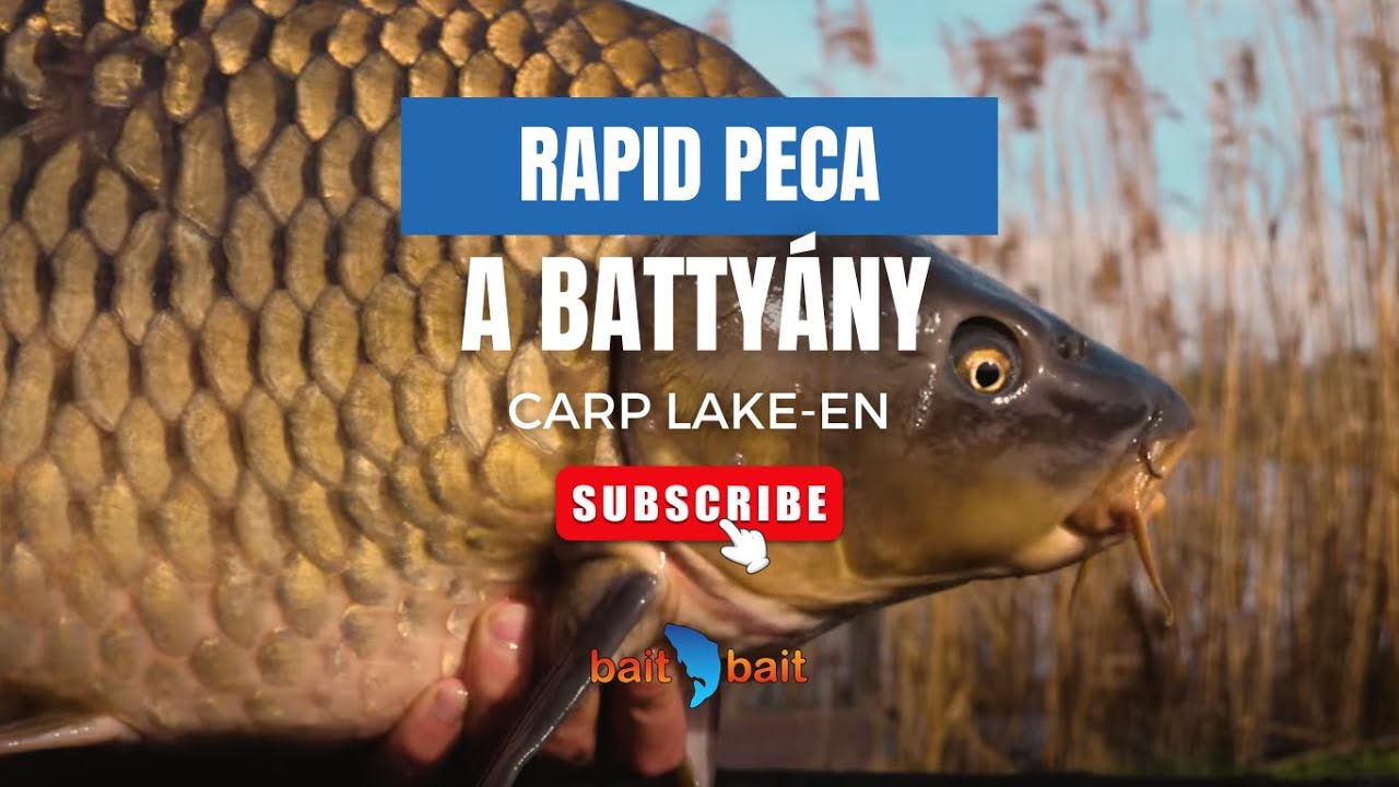Rapid peca a Battyán Carp Lake-en