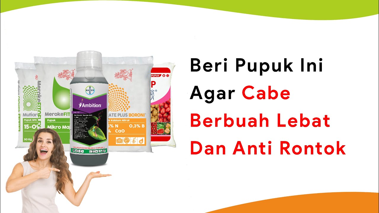 5 Pupuk Cabe Umur 42 HST, Agar Berbunga Lebat Tanpa Rontok