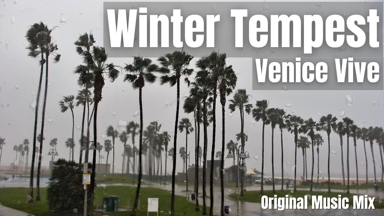 Venice Beach Winter Tempest | 1 Hour Lo-Fi Instrumental | Venice Vive