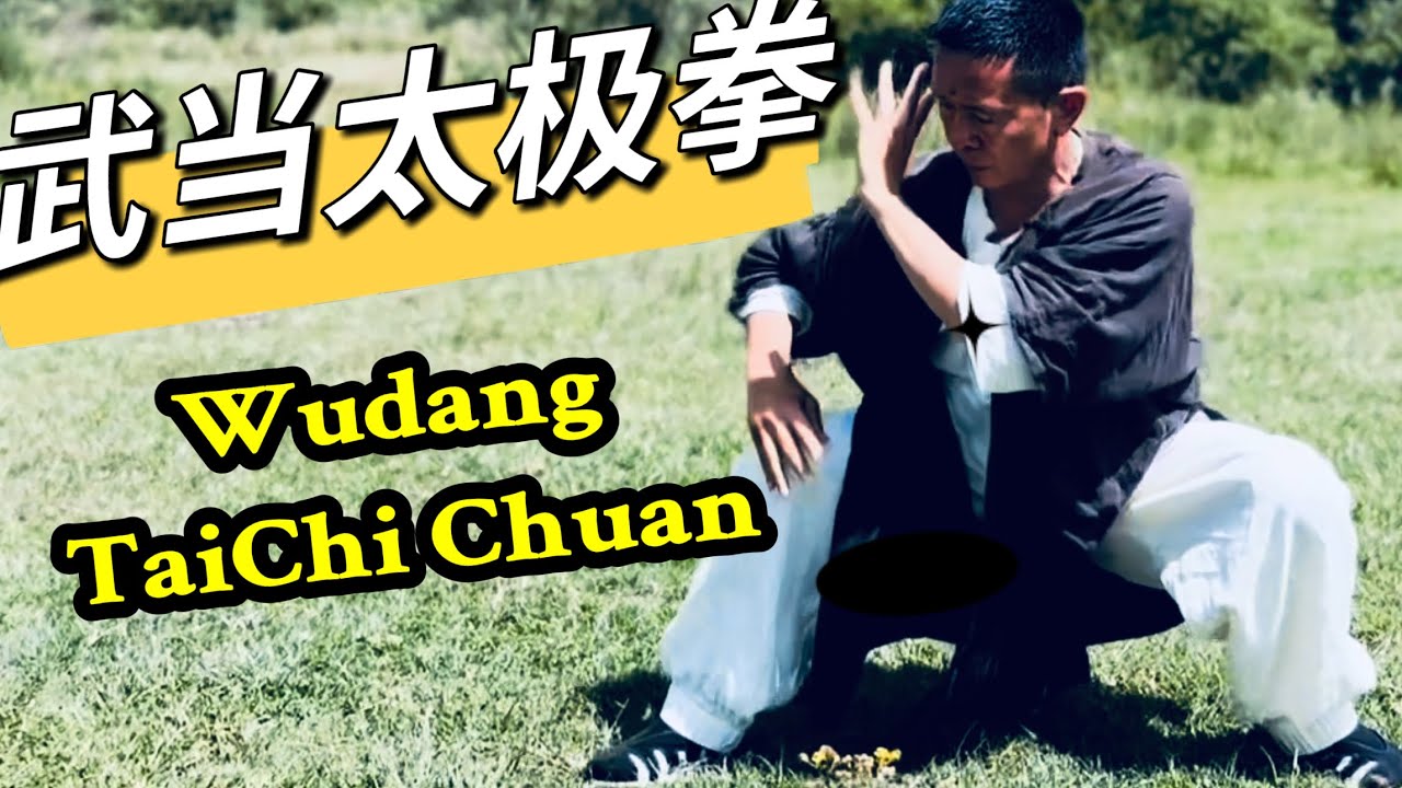 A complete system of Daoist Tai Chi, and awaken its wisdom through gradual refinement｜武当道家太极拳完整版