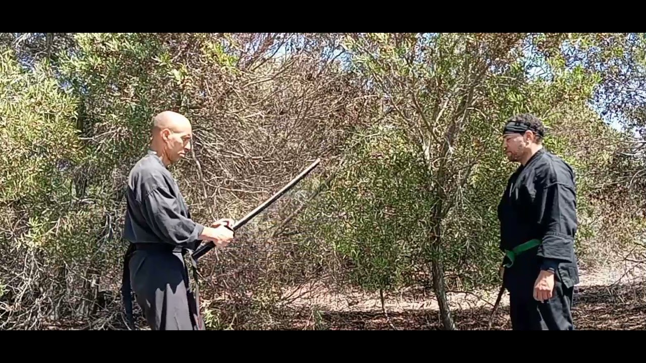 Shadow Hawk koga Ninjutsu. Sword fighting techniques.