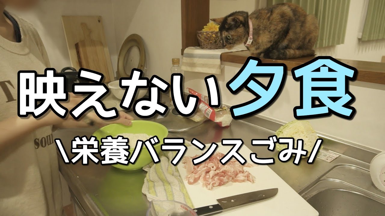 【ズボラ主婦】献立は理想より欲望が優先。めんどくせぇ夕食作りルーティン。