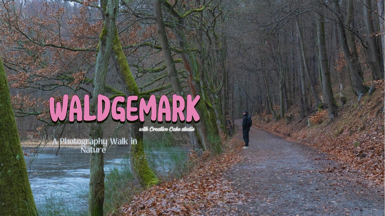 A Photography Walk around Waldgemark