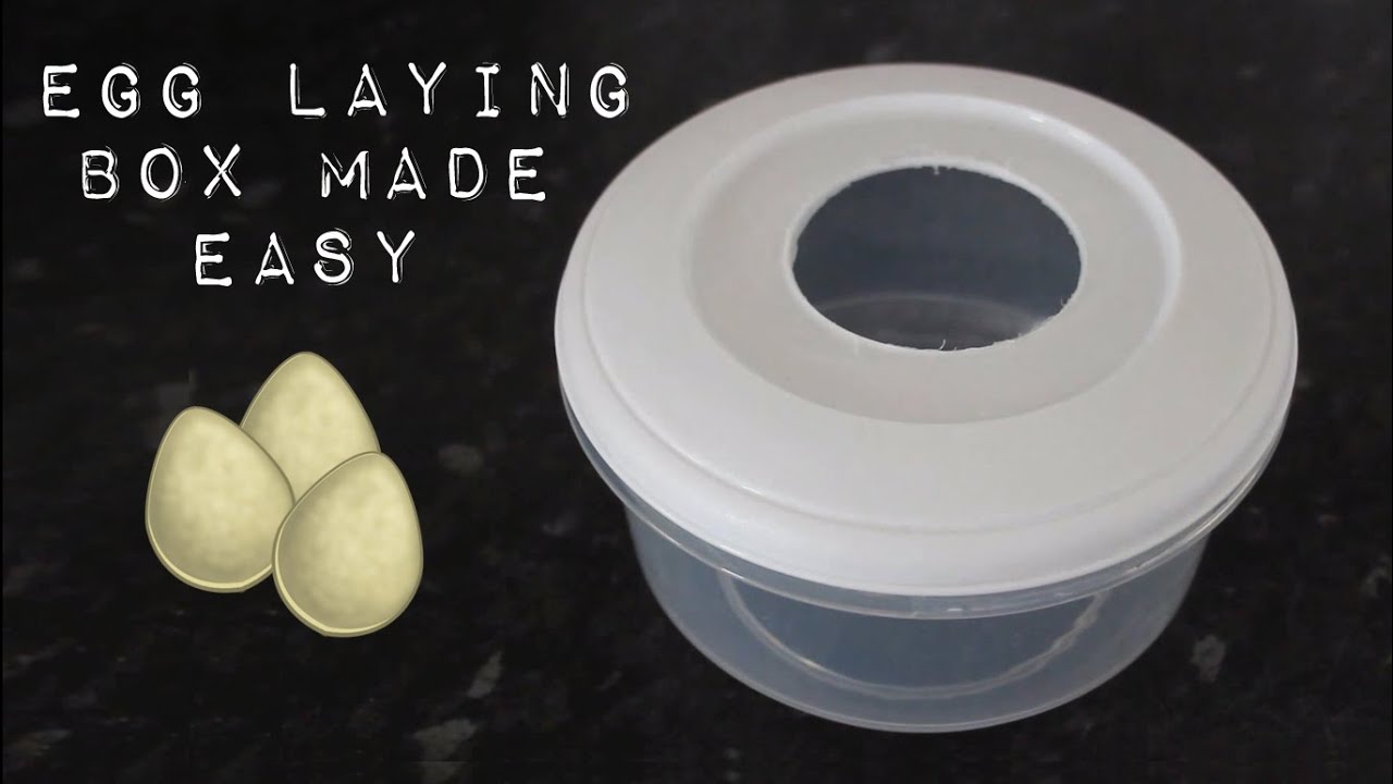 How to Make a Leopard Gecko Egg Laying Box / Moist Hide