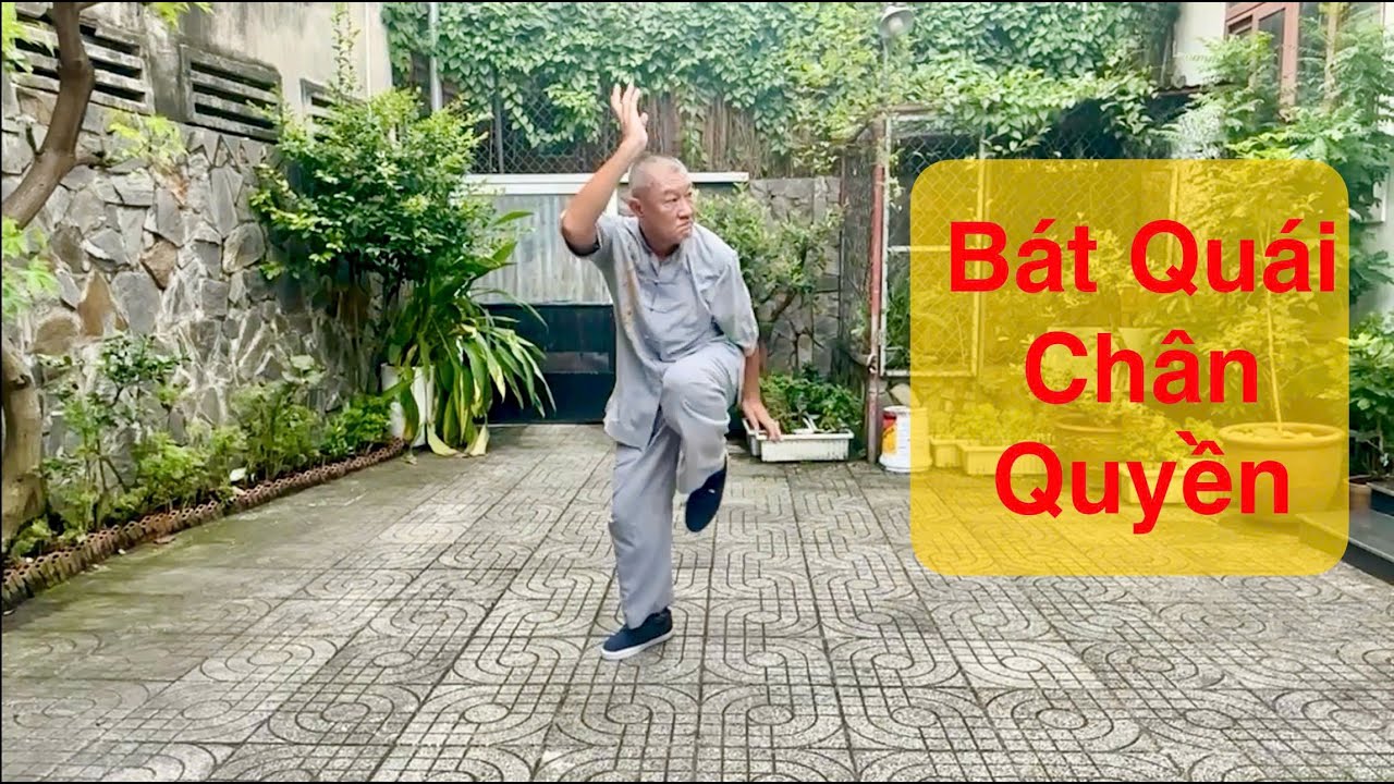 Bát Quái Chân Quyền - Sa Long Cương - Chưởng môn Sa Hồng Võ Đạo Nguyễn Phi Long
