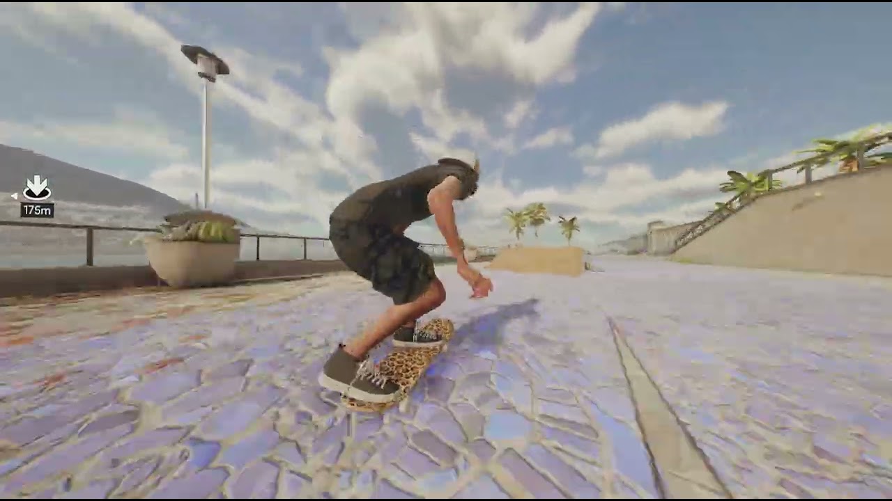 skate._20260129171528