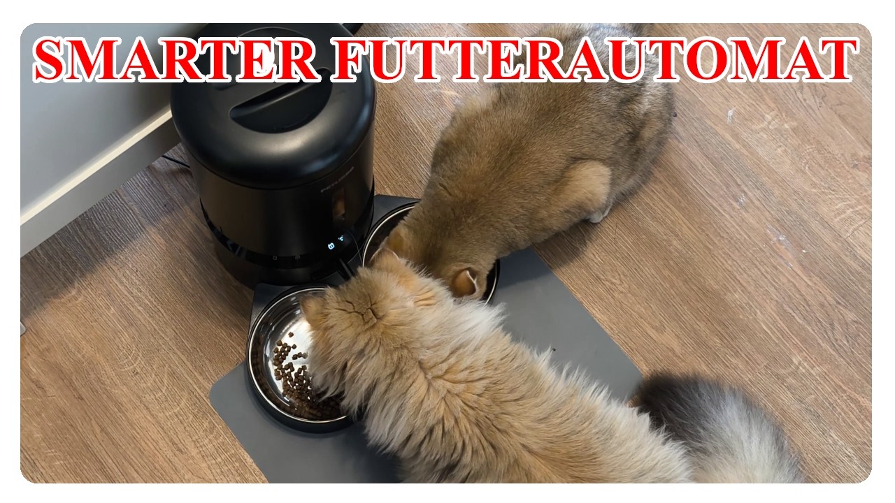 Petlibro Granary WiFi Dual Futterautomat , was taugt er und was sagen unsere Katzen dazu ?!?!