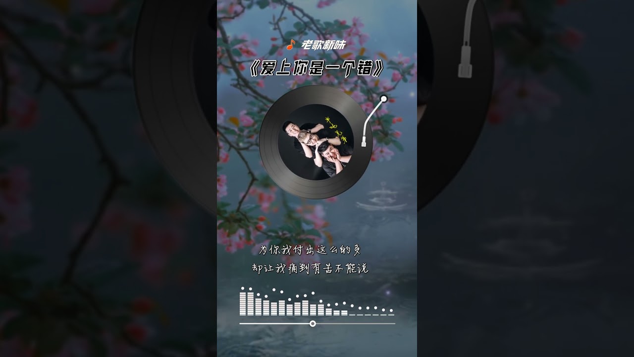 老歌新味：半吨兄弟《爱上你是一个错》动态歌词完整版（竖版）