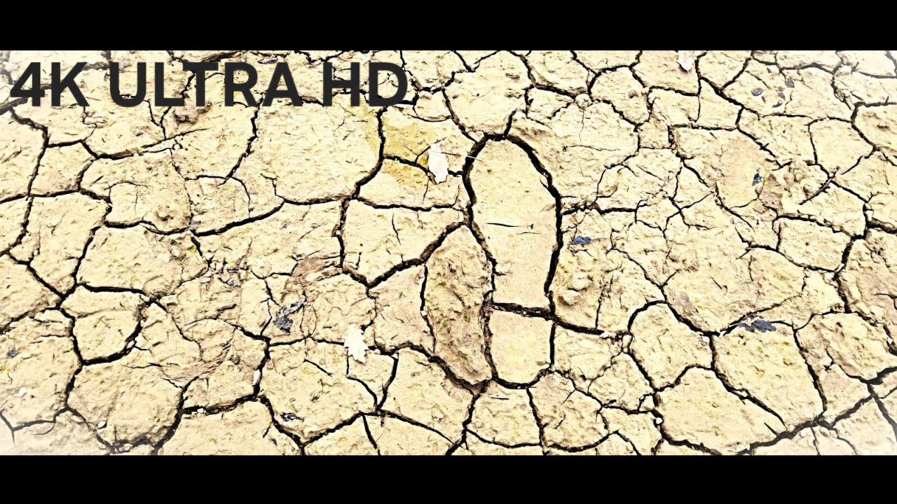 TRAGOM ŽIVOTA UZ CETINU KAKVOG VIŠE NEMA