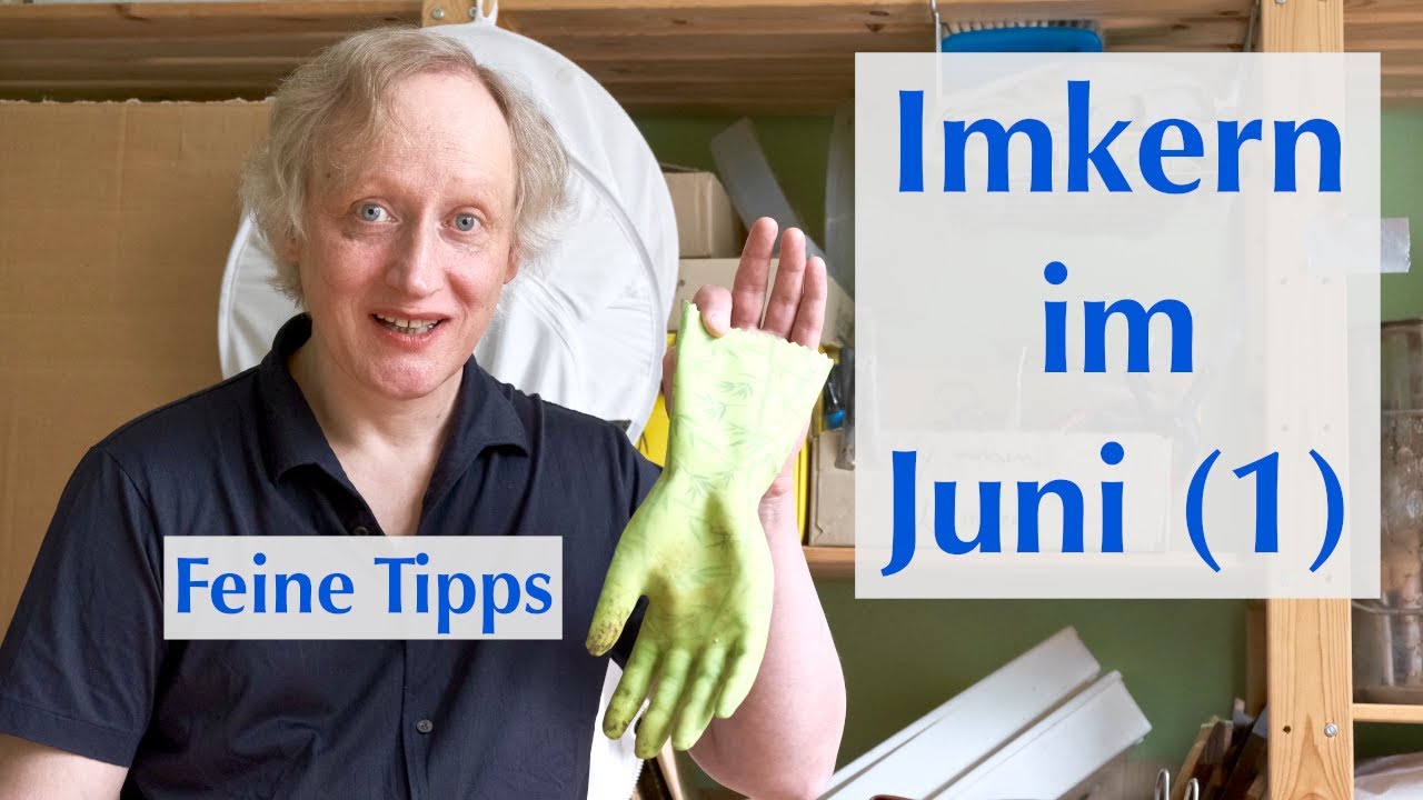 Imkern im Juni - Ende der Frühtracht & Nachteil vom Königinableger