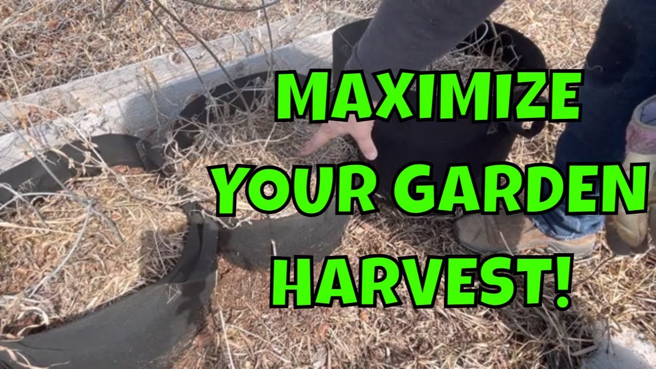 Maximize Your Harvest With The Vivosun 7 Gallon Grow Bags