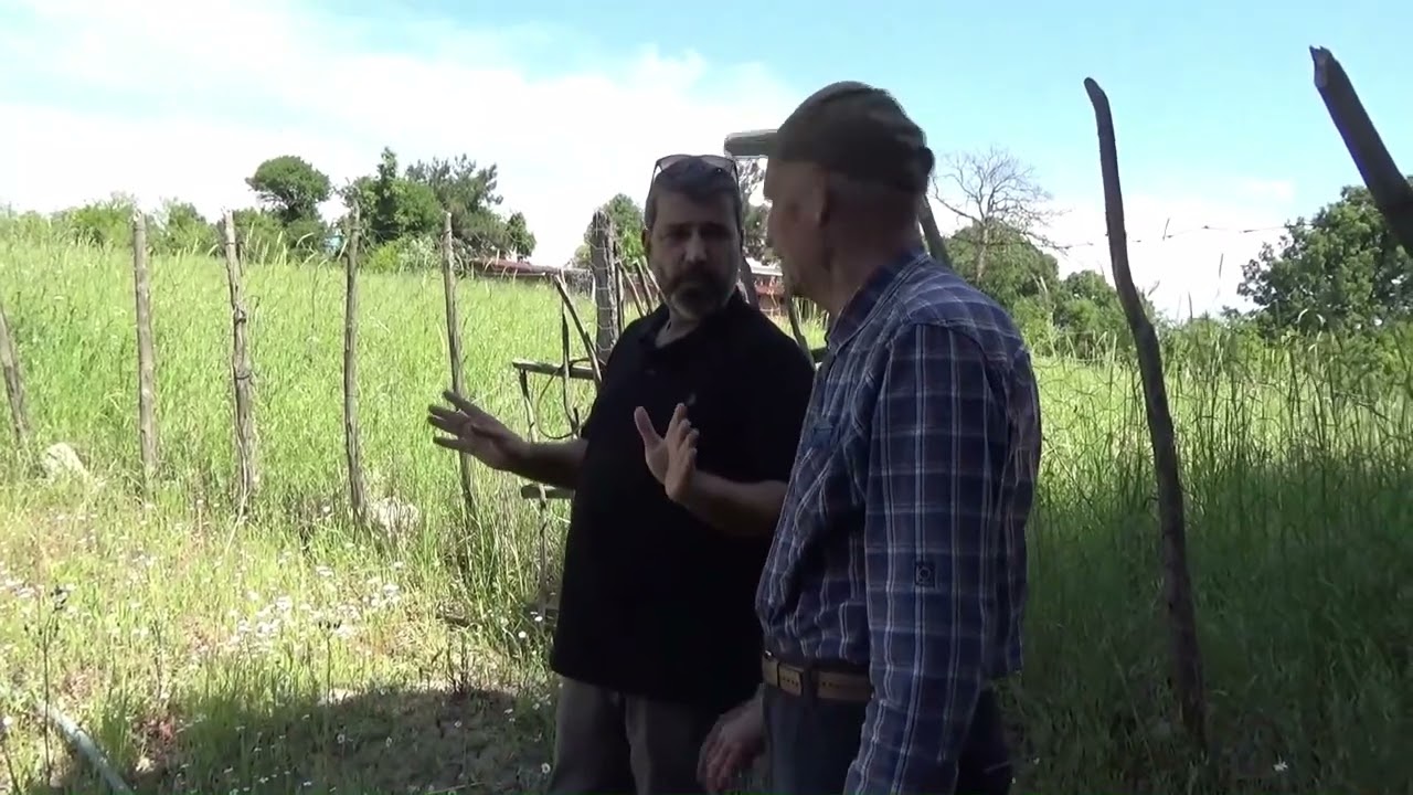 11.5 dönüm meyve bahçesi-Sahibi rahatsızlandi.Şuan satılmıcak.