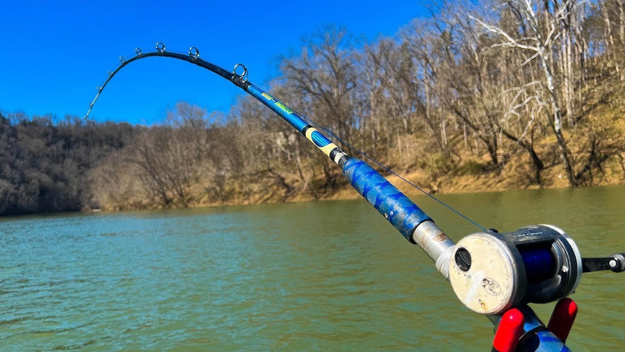 Here’s Where To Find Big Catfish In Late Winter/Early Spring