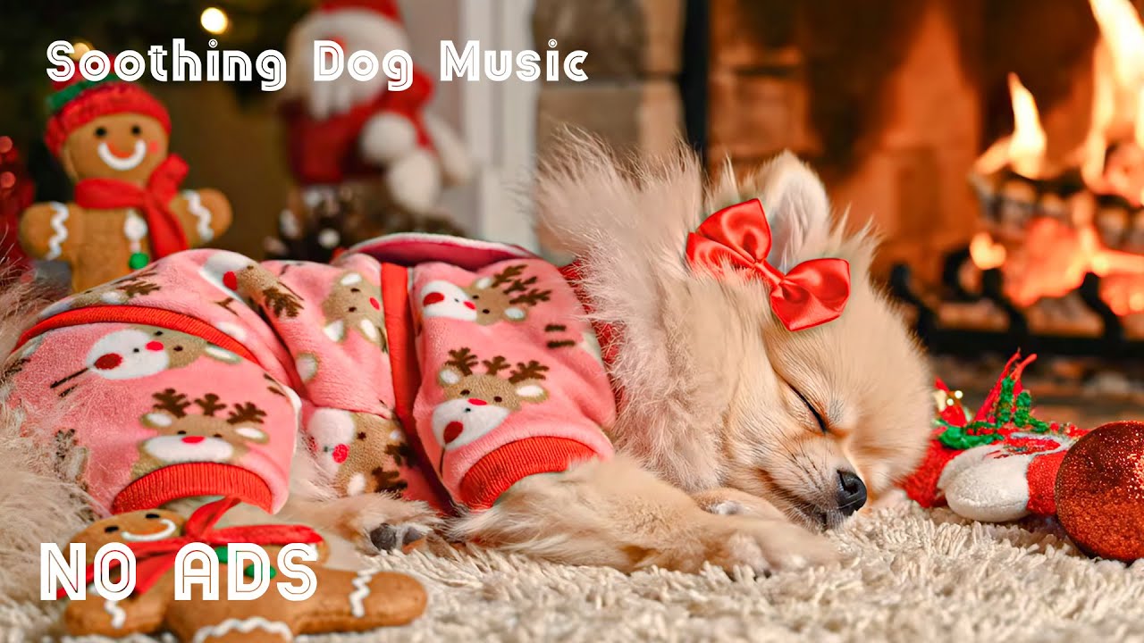 12 ЧАСОВ Музыка для успокоения собак 🐶❄️ против тревоги разлуки 🎅 Глубокий сон 🎶