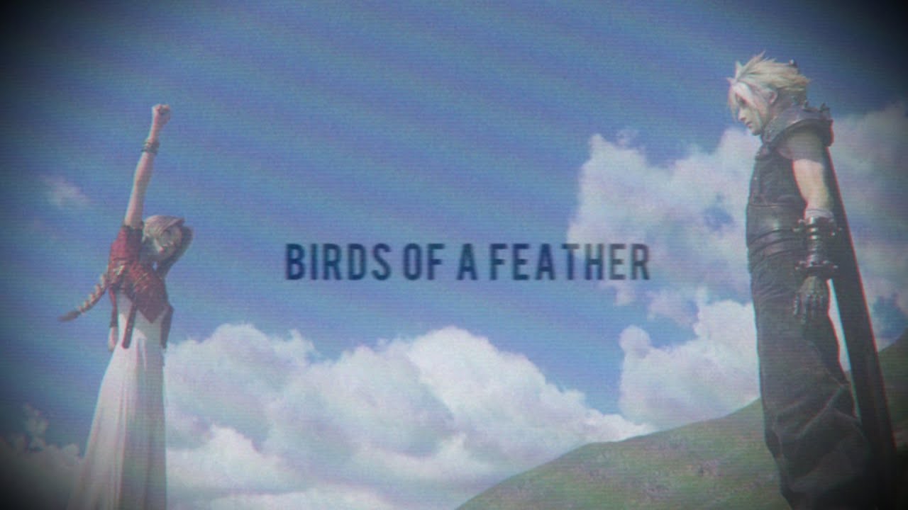 Birds of a Feather