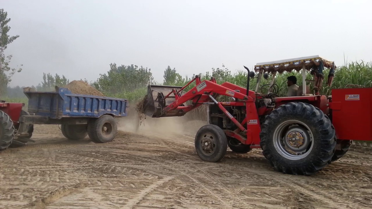 Mf 375