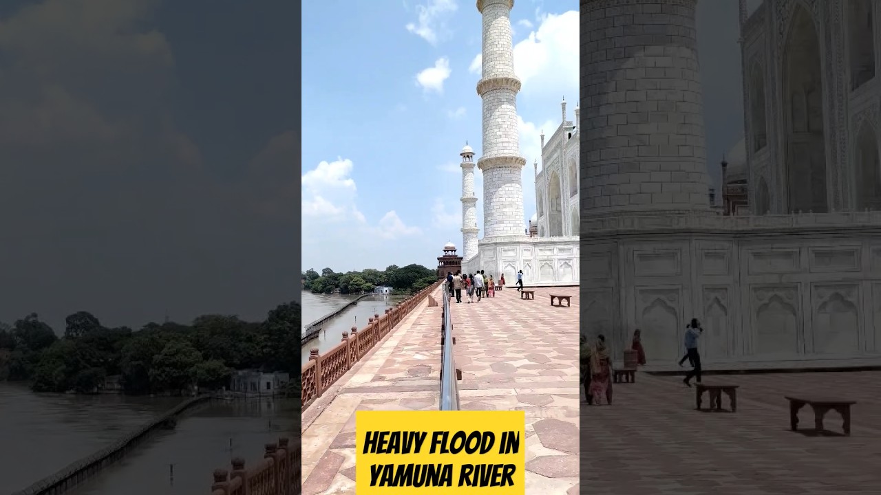 HEAVY FLOOD BEHIND TAJ MAHAL || YAMUNA RIVER #flood #yamuna #delhi #tajmahal
