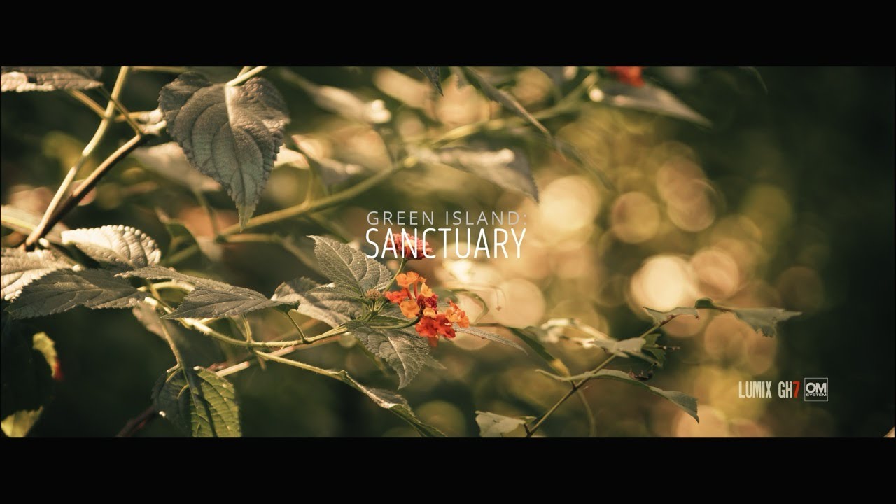LUMIX GH7 CINEMATIC WILDLIFE Short film #lumixgh7 #gh7 #cinematic #wildlife #relaxing #birdwatching