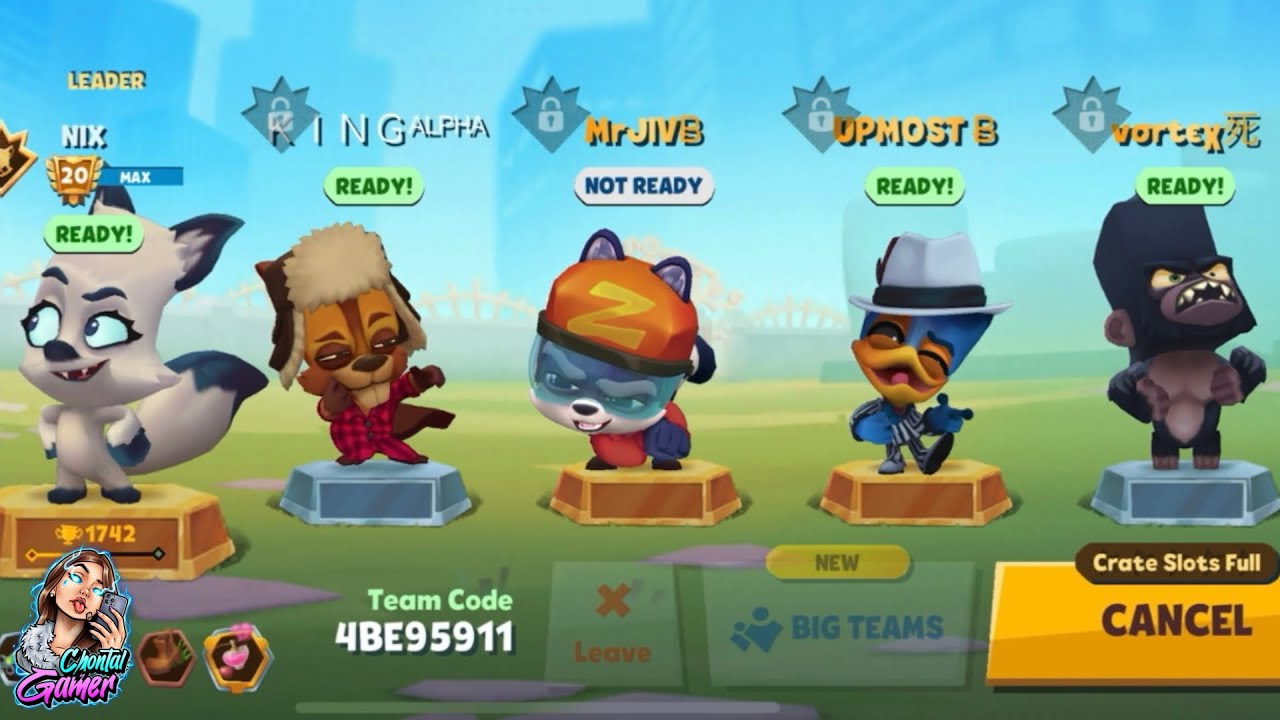 Zooba Squad High Level Gameplay