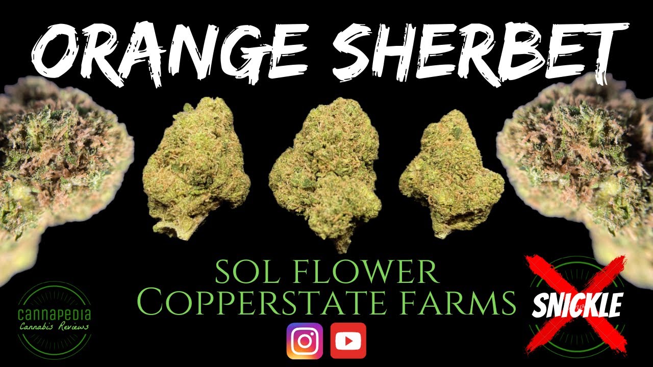 Orange Sherbet Strain Review - Sol Flower - Copperstate Farms - Cannapedia