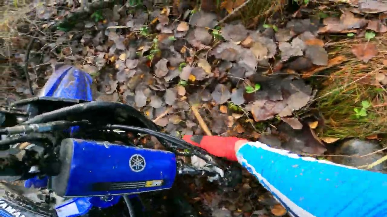Olofs tr&auml;d! | Haninge MK H&ouml;gstabanan | Enduro Yamaha WR250F | Stockholm
