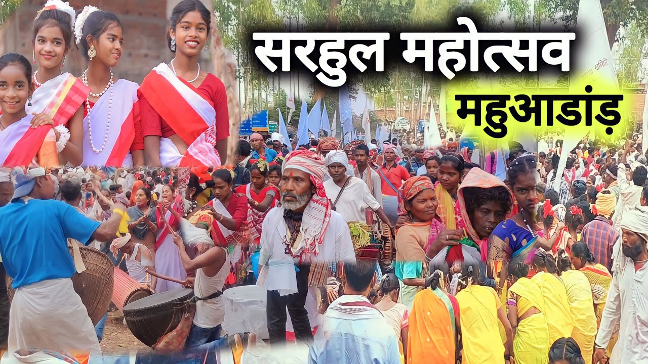 सरहुल महोत्सव महुआडांड़//Sarhul Festival Mahuadanr//2023 #sarhulvideo #tribalsocietymdr #mahuadanr