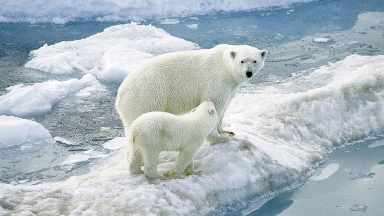 Turisti per Caso: Capo Verde e Isole Svalbard - Così lontani, così vicini