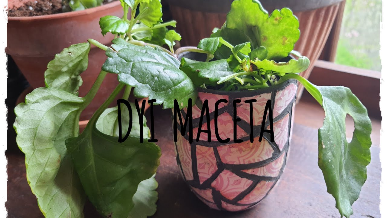 DYI maceta -vaso nocilla