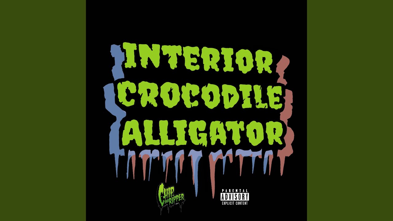 Interior Crocodile Alligator