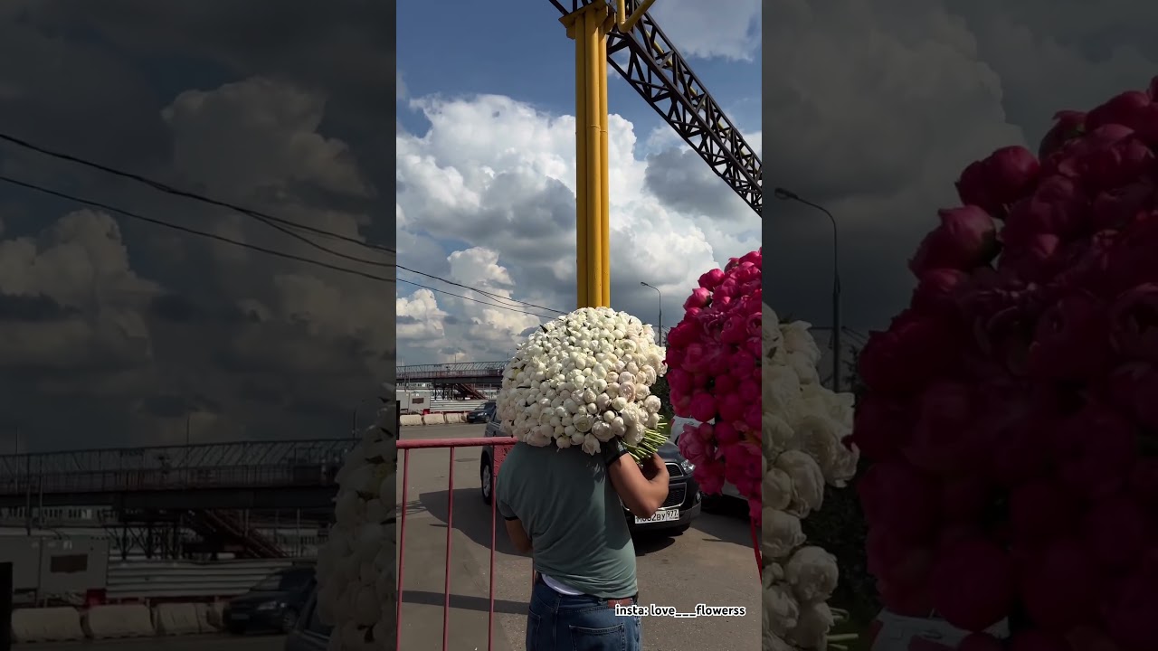 3 букет по 301 пион цена по запросу , доставка по Москве бесплатно insta:love___flowerss 89250146279