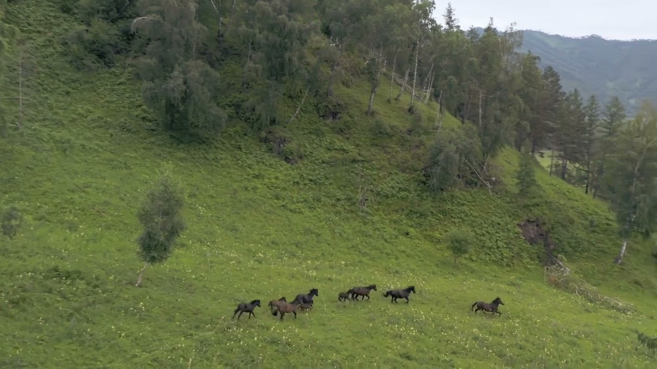 Nyanyian Baru UmatMu*| Lagu Motivasi Terbaru | Tentang Proses, Doa & Keteguhan Hidup