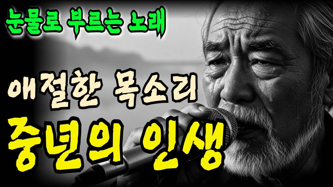눈물의 중년 감성 트로트 | 사무치게 그리운 밤 듣는 애절한 트로트 모음 | 소주 한 잔 하면서 인생을 노래한다