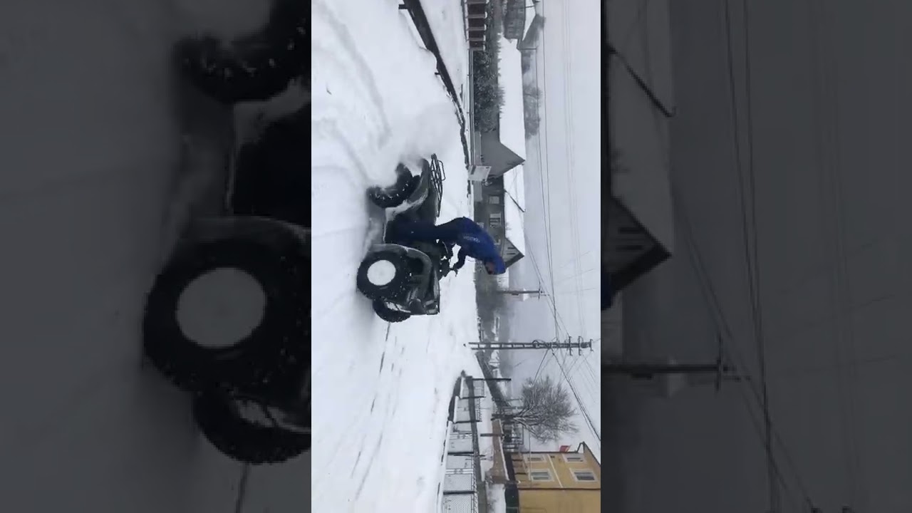 Kawasaki KVF 300 4x4