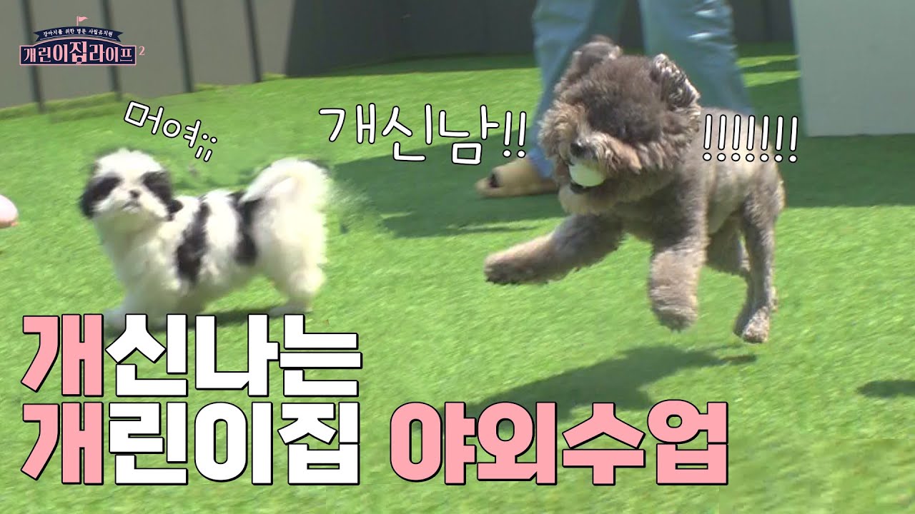 댕중부양🛸이라고 들어는 봤나?! | 개린이들 야외수업! 개린이집 라이프 시즌2