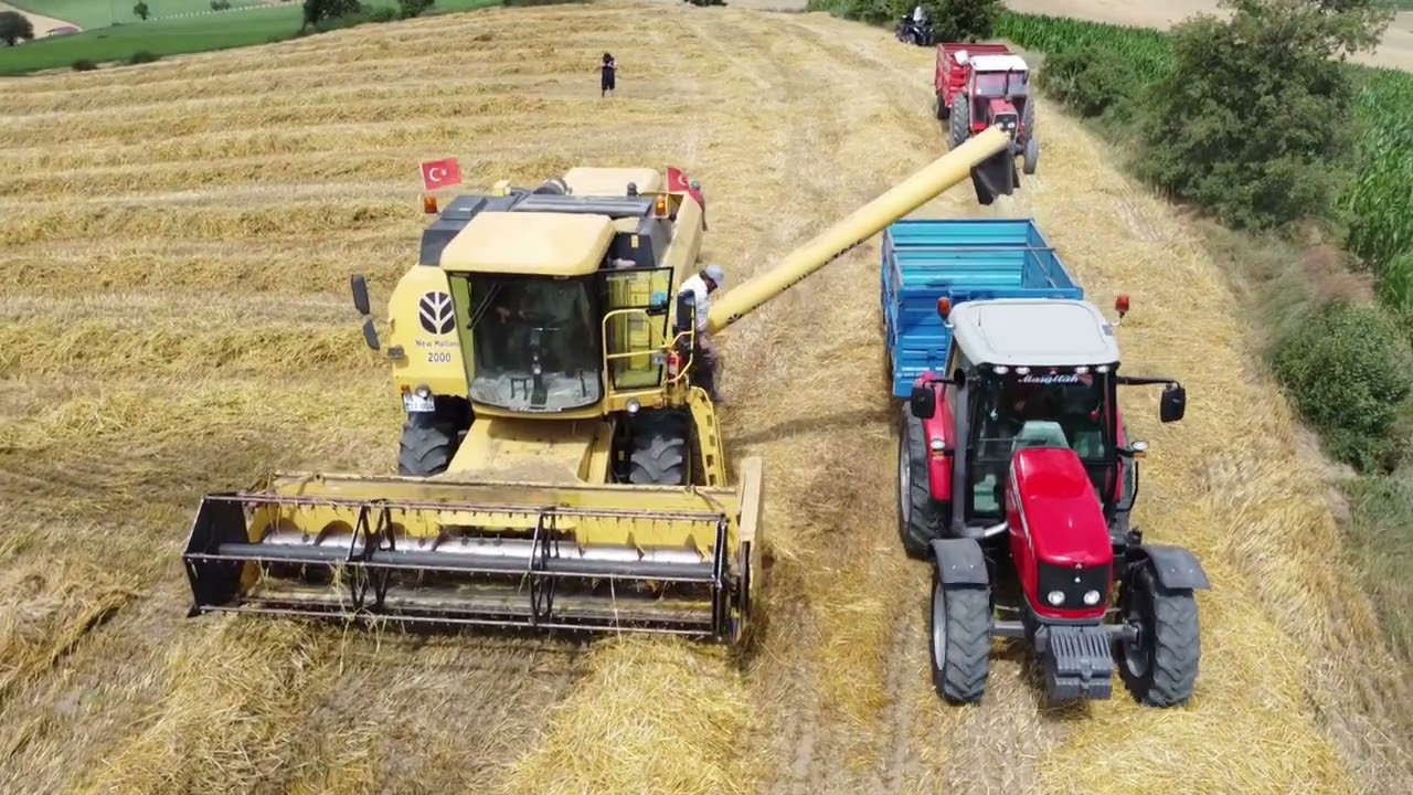 Arpa hasadı TC 56 (DRONE ÇEKİMİ)#akım #keşfet #hasat #newholland #fyp