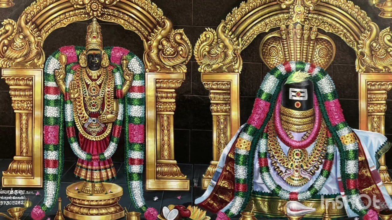 திருவெம்பாவை 08 - கோழி சிலம்பச் சிலம்பும் - விசுவாவசு வருஷம் மார்கழி மாதம் / Thiruvempavai 08