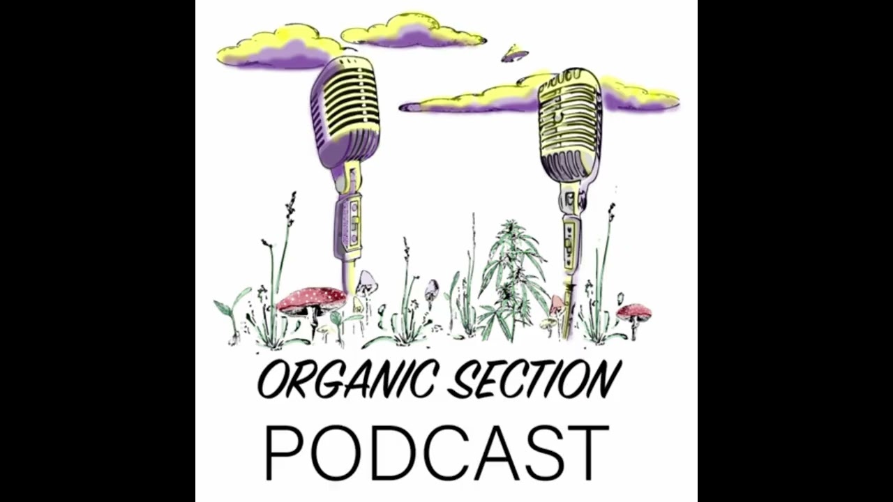 The Organic Section Podcast Episode 2 Tim Bachmann Odd Dream Design