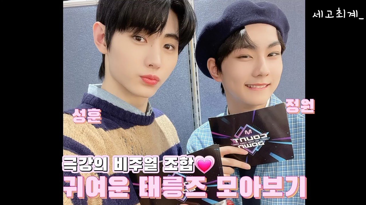[엔하이픈 | 성훈/정원] 귀여운 태릉즈 모아보기