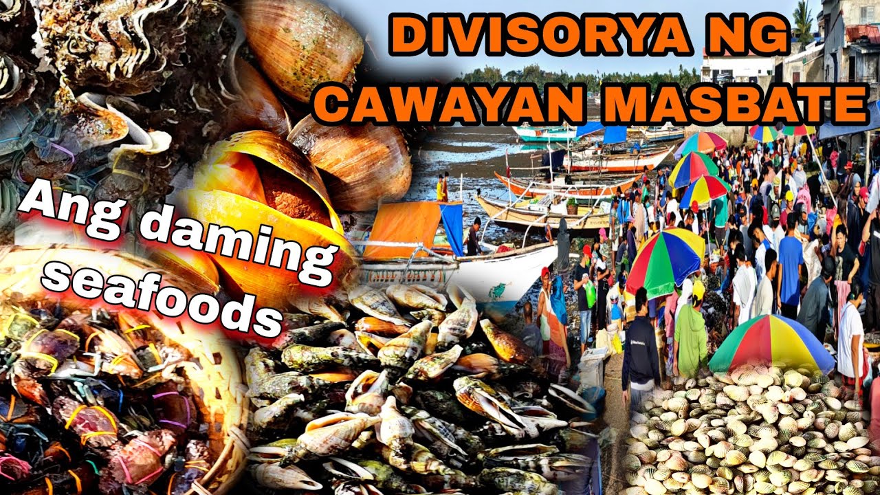 DIVISORYA NG CAWAYAN MASBATE MURANG BILIHIN NG MGA Fresh na isda at sea foods