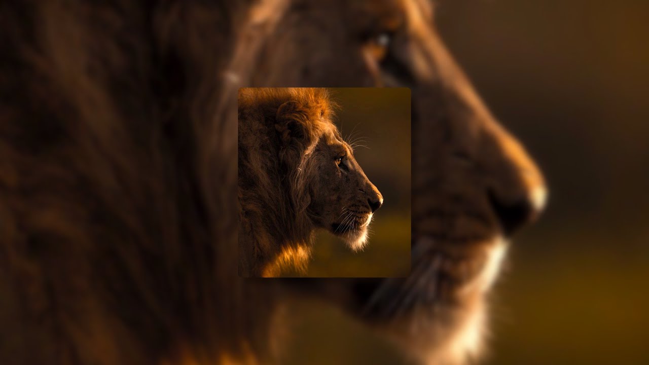 Katy Perry - Roar // sped up + reverb