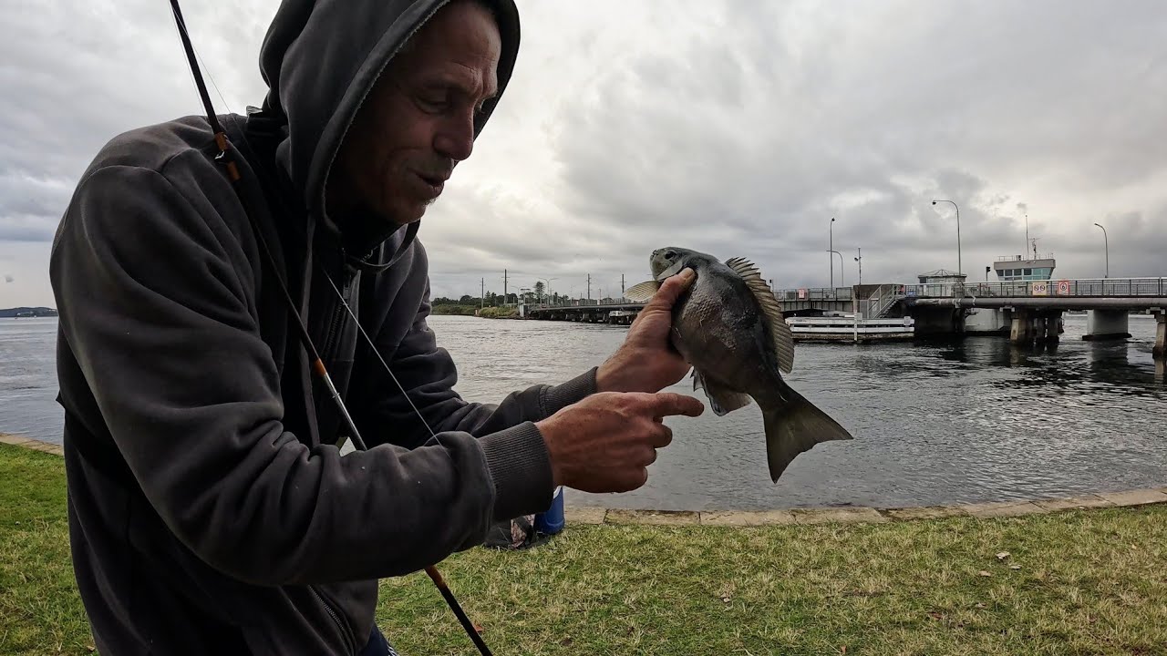 Luderick (blackfish) fishing Swansea bridge