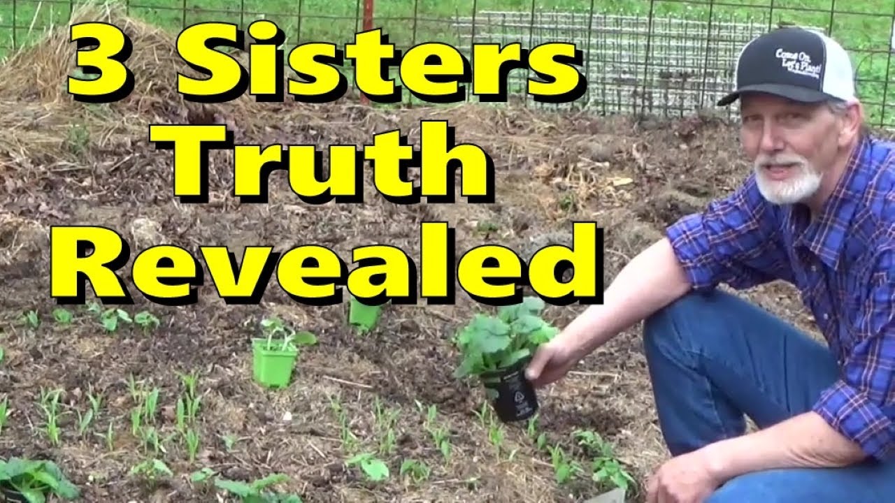Truth Revealed About 3 Sisters Planting 4-4-2024