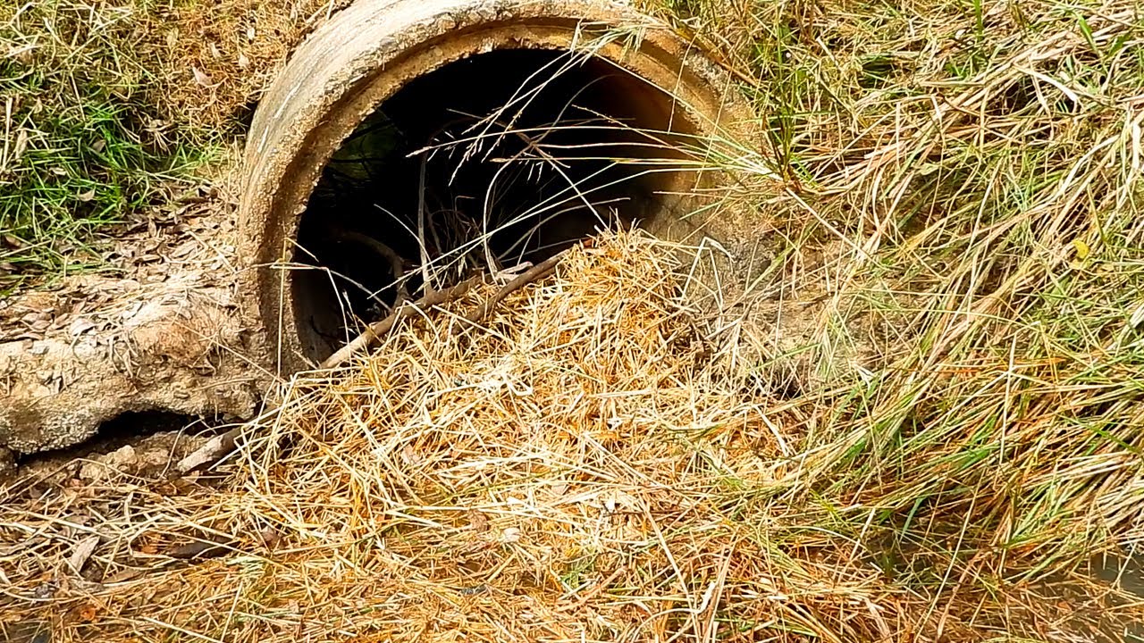 No Body Care All This Culvert Drain Clogged By Debris A Long Time