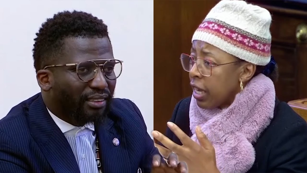 Ashley Sauls vs DDG “You Have Given Preference To A Foreign National Over A Qualified South African”