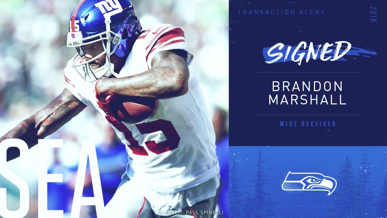 Brandon Marshall Highlights