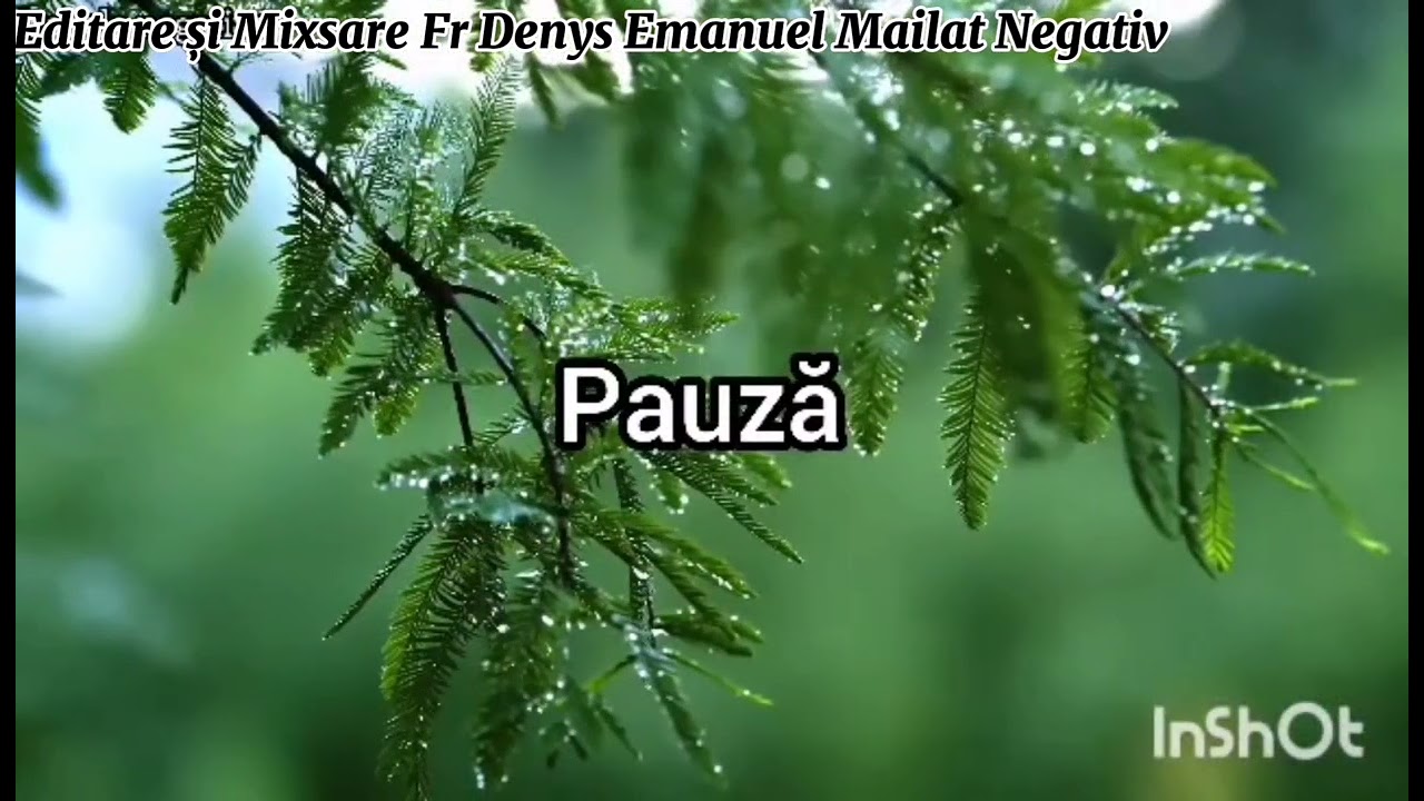 negativ creștin cu bucurie poartăți crucea vadari dela Timișoara negativ Fr Denys Emanuel Mailat