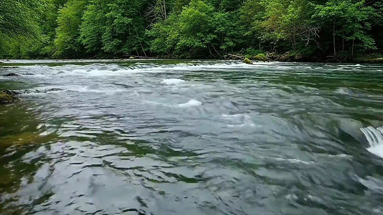 River Sleep Therapy | Soothing White Noise for Night Recovery
