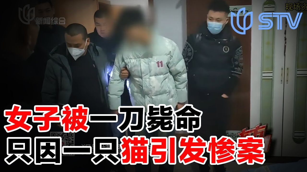 女子被一刀毙命，凶手竟是男友，只因一只猫引发惨案#东方110  20250807 FULL