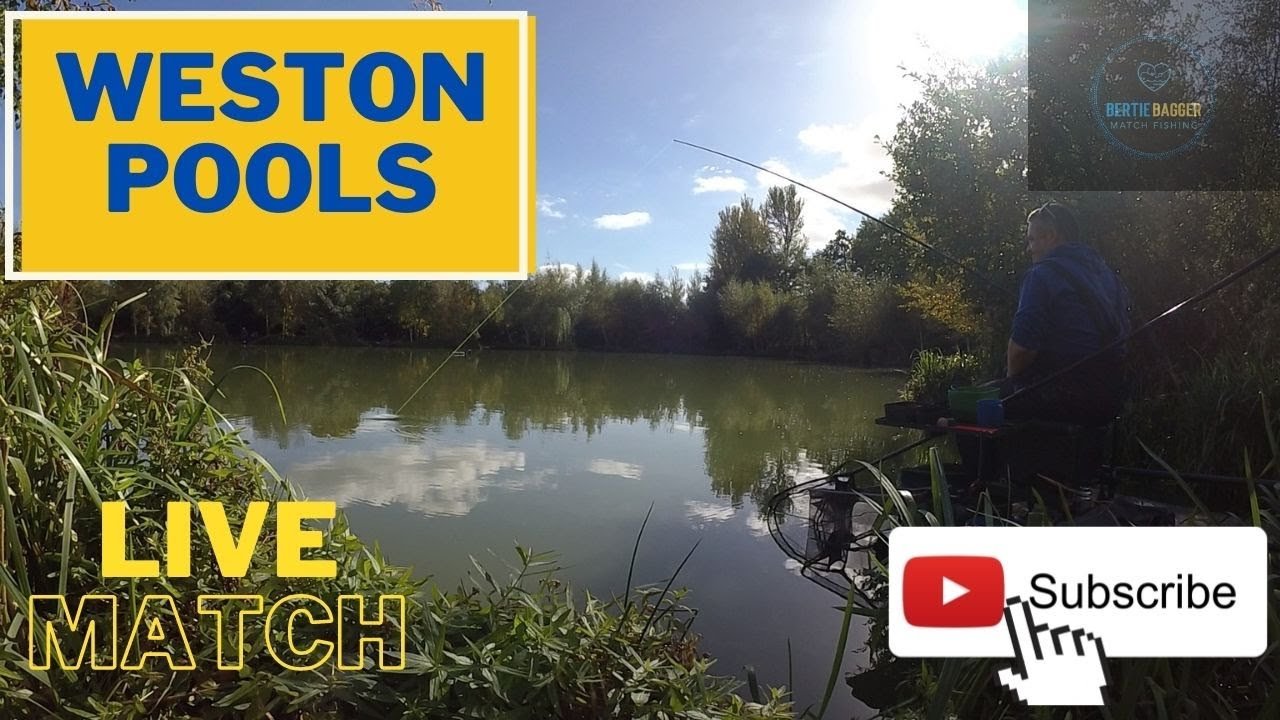 Weston Pools - Live Match, Stu's 50th Birthday Bash