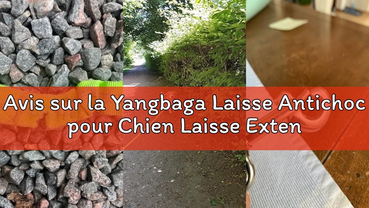 Avis sur la Yangbaga Laisse Antichoc pour Chien Laisse Extensible Élastique en Nylon idéal pour Marc